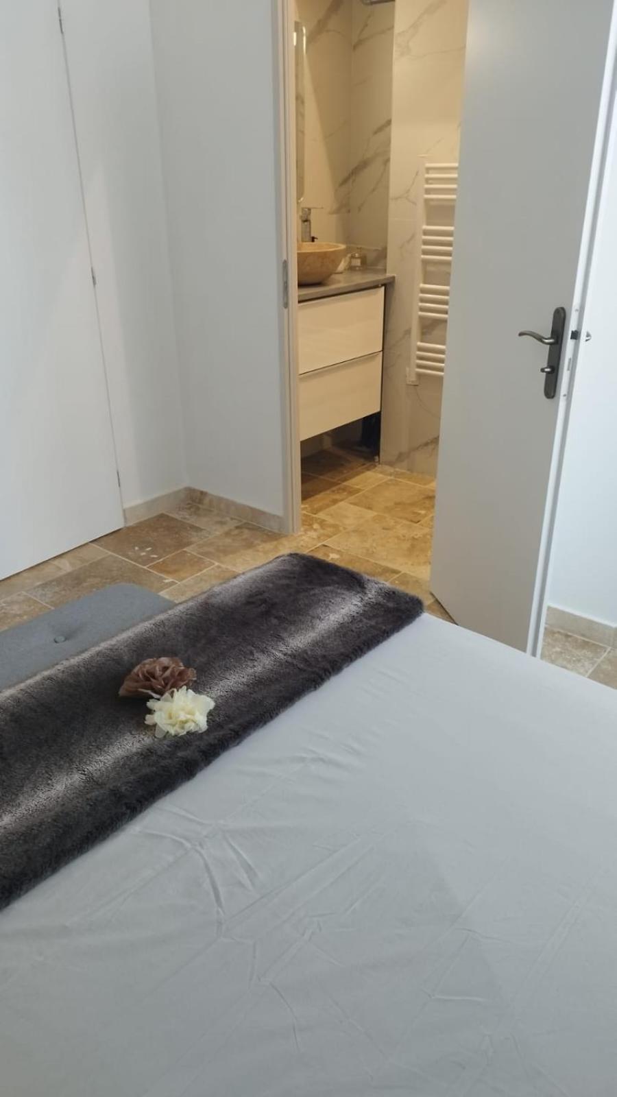 Appartement Lumineux En Rdc Bourgoin-Jallieu Extérieur photo